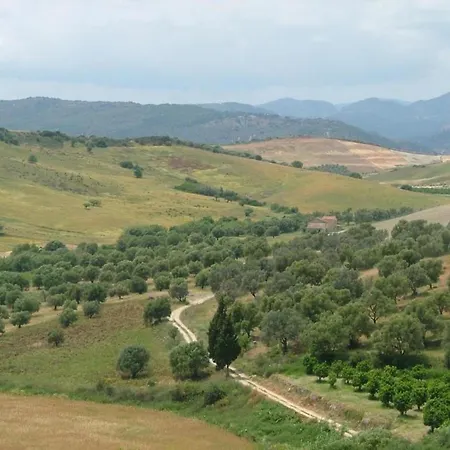 Ancient In The Countryside Of Stilo With Garden